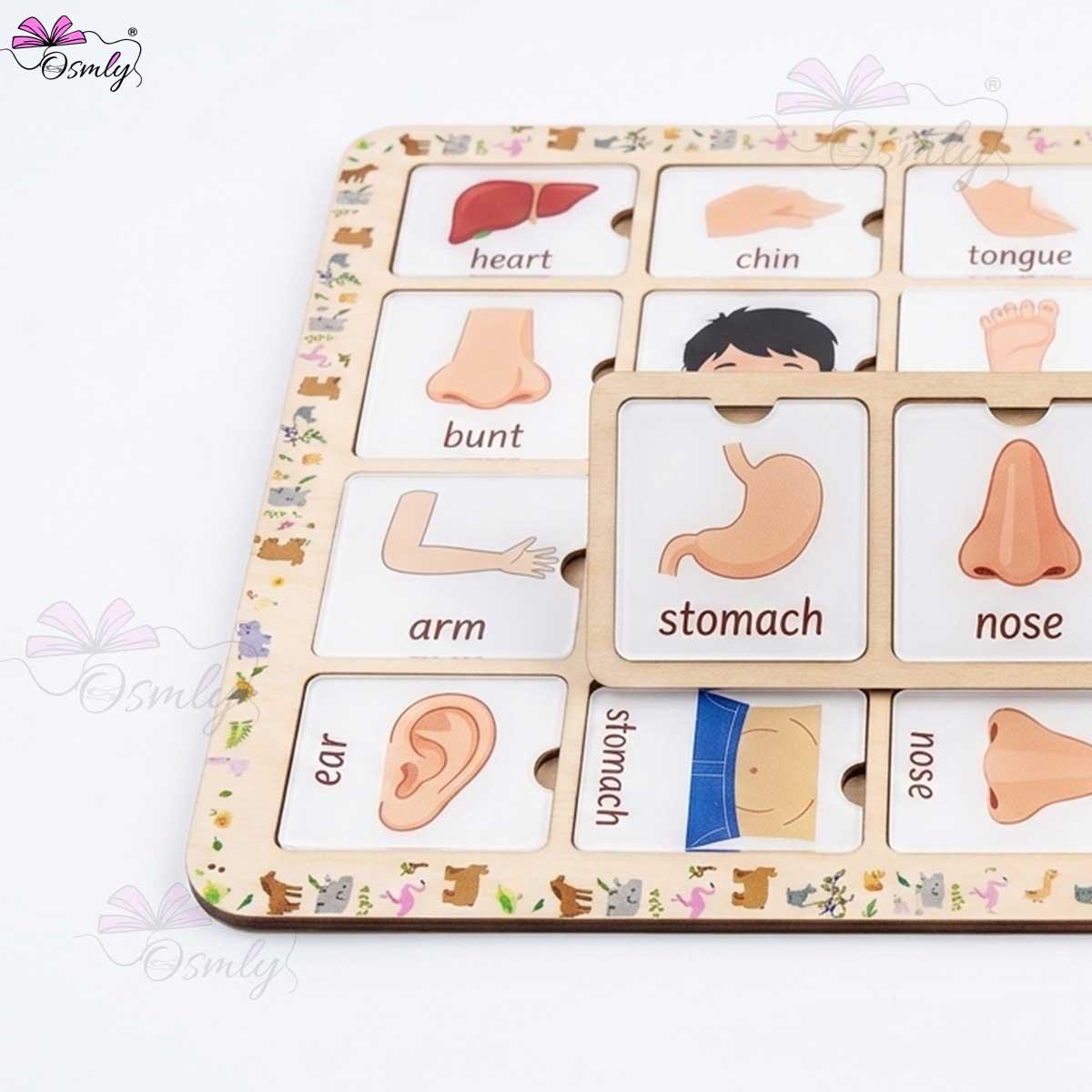 Educational Play Board for Kids